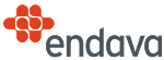 Logo endava